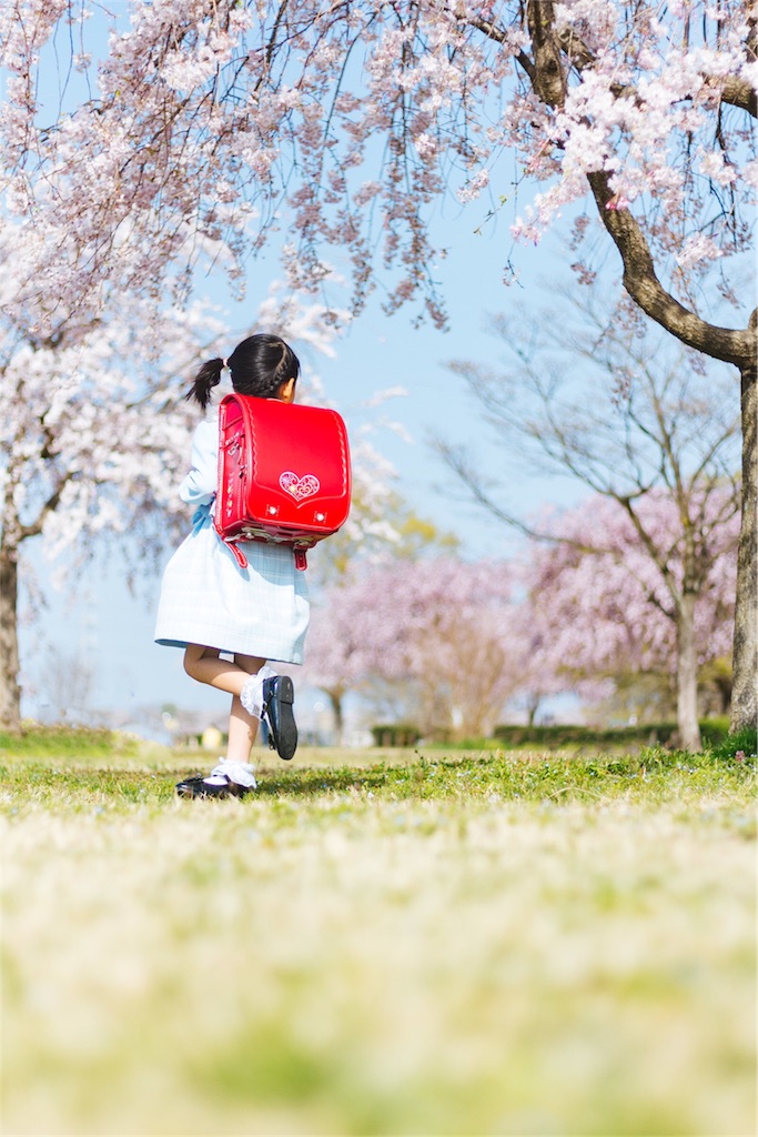 f:id:ponpoko37:20190309210716j:plain f:id:ponpoko37:20190309210716j:plain