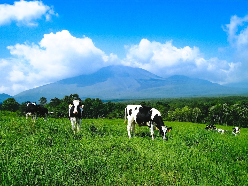f:id:ponpoko37:20190818215730j:image f:id:ponpoko37:20190818215730j:image